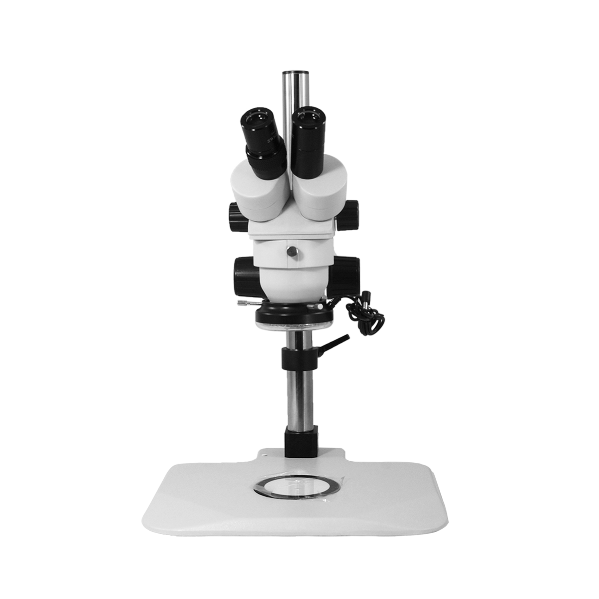 Stereo Microscope